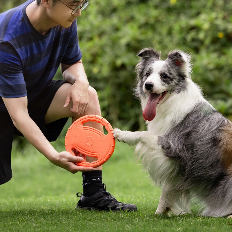 宠物飞盘拉环玩具耐咬弹力互动中小型犬金毛边牧互动训练拔河玩具