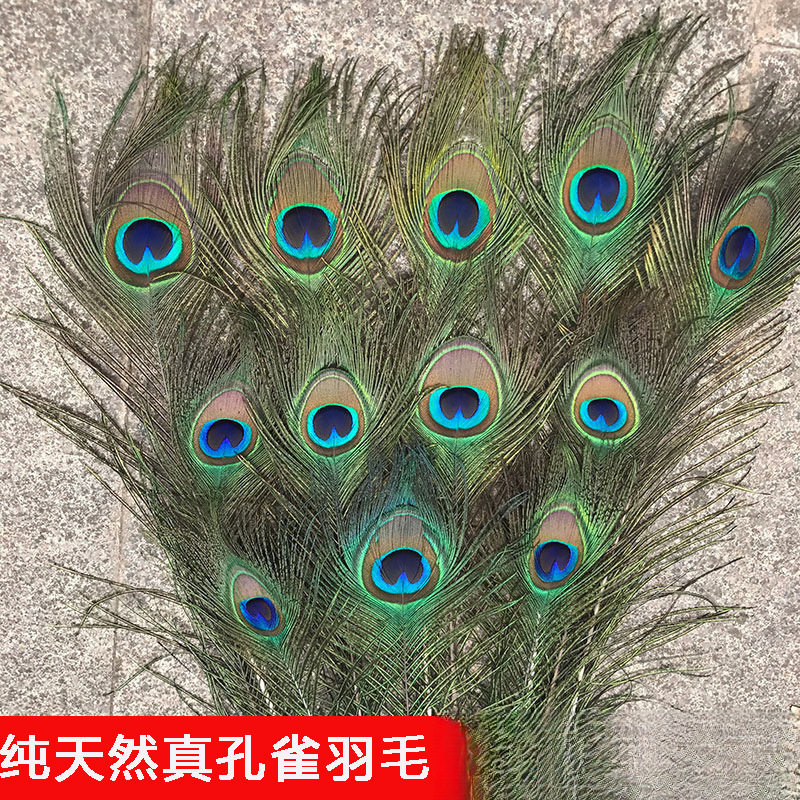 真孔雀羽毛翎尾大眼睛客厅摆件花瓶插花装饰品配件孔雀毛
