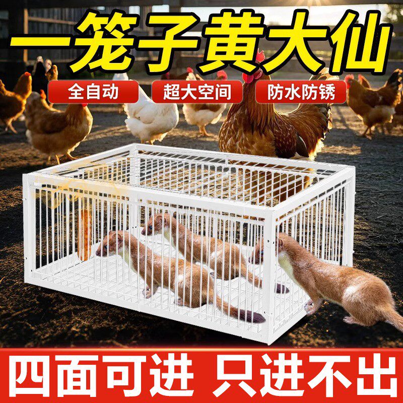 全自动抓鼠笼新款大号药夹子养鸡窝防黄鼬狼陷阱驱赶神器笼子