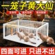 全自动抓鼠笼新款 大号药夹子养鸡窝防黄鼬狼陷阱驱赶神器笼子