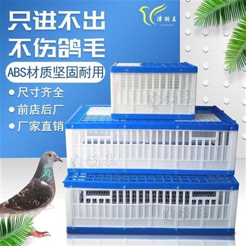 津羽王鸽子塑料训放笼木质不锈钢放飞笼折叠笼运输笼用品用具鸽具