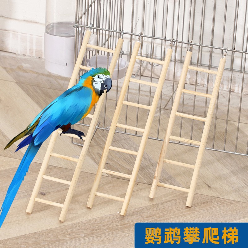 8-鹦鹉爬梯梯玖W4240梯云牡丹虎皮玄凤专用鸟笼玩具用品鸟儿攀爬