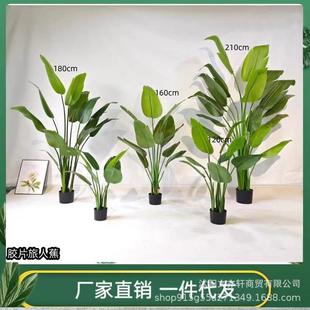饰盆景仿真绿植胶片旅人蕉 简约风仿真落地摆件高端轻奢家居装