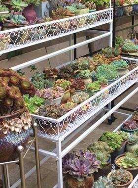 阳台IZU多肉花架铁挂艺庭落院地室内灯多层室带外轮露台