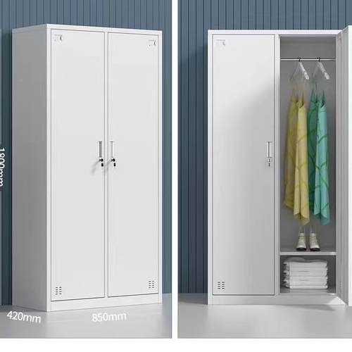 舍皮储物柜二铁门衣储柜加厚钢制办公室文件柜二门员宿工二门更衣