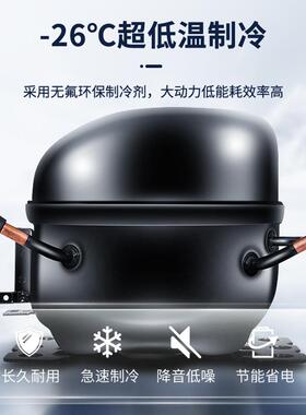 澳柯玛用冷冻134柜小型雪糕柜SD1-00F商CSD-125D