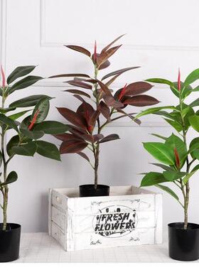 仿真绿植橡皮树栽室内客盆厅摆设装落地假LD-54007树窗摆件饰仿真