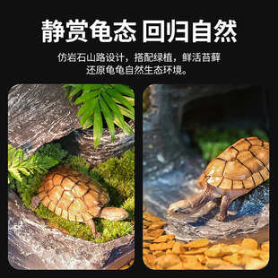 玻璃乌龟饲养缸家用养大乌龟专用缸带晒台别墅龟缸生态箱造景鱼缸