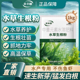 农丰颐水草生根粉长白根大包装发棵轮叶黑藻伊乐藻长根保草防飘草