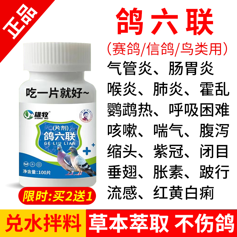 正品鸽六联鸽子专用鸽药大全鸽瘟感冒发烧咳嗽拉稀绿便水便闭眼