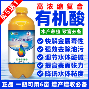 水产养殖专用复合有机酸毒素分解油膜毒水黑水鱼虾蟹塘水质净化