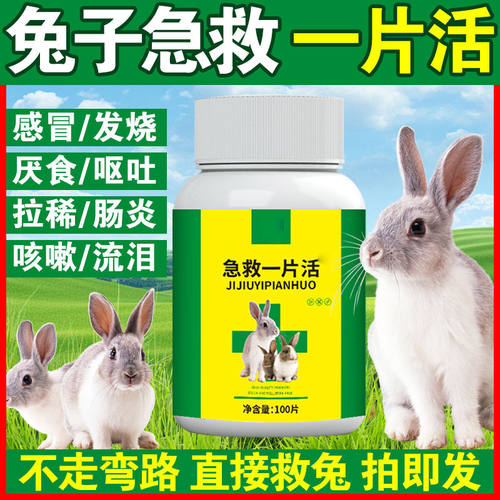 兔子常备药宠物侏儒兔幼兔急救