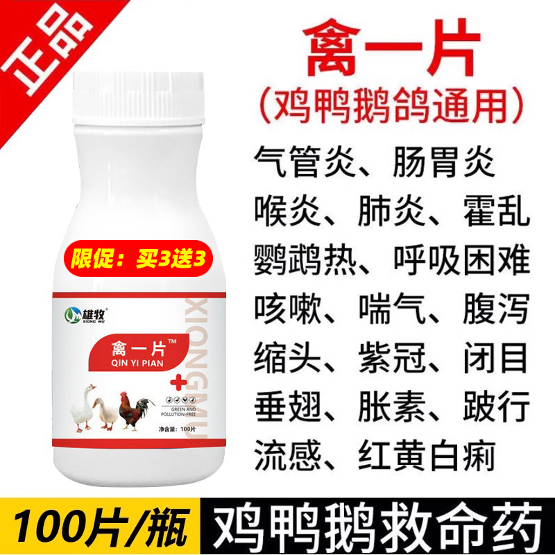 禽一片养鸡专用鸡药鸭鹅禽类急救