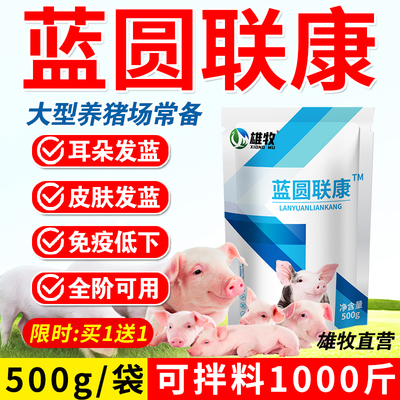 蓝圆联康猪场养殖圆环蓝耳非瘟