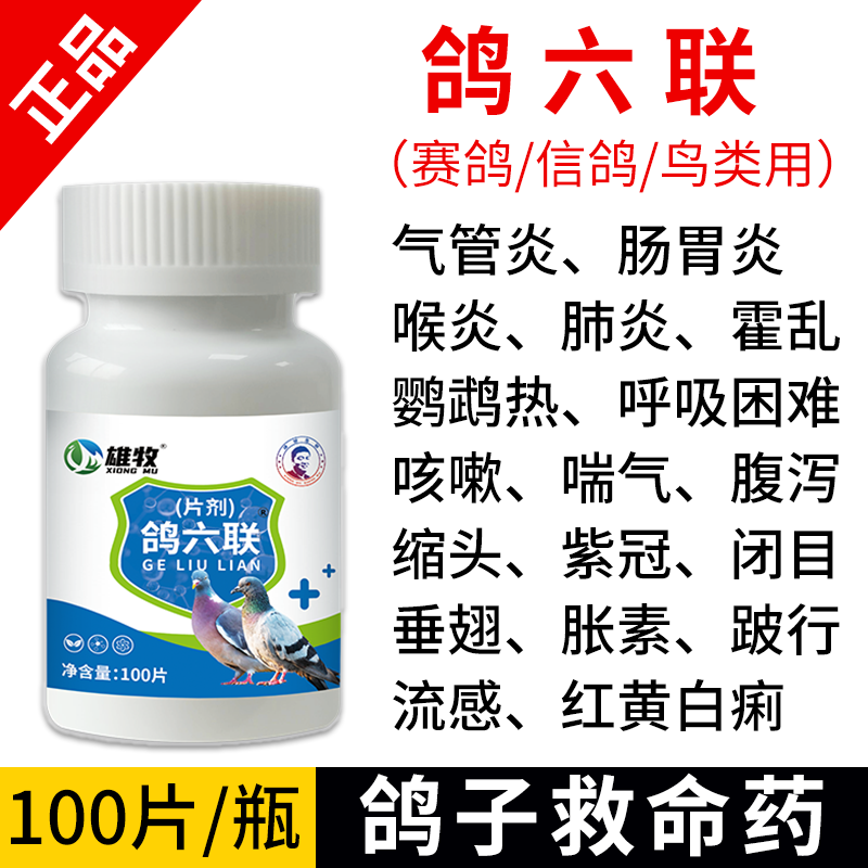 品鸽六联鸽子专用鸽药大全鸽瘟药