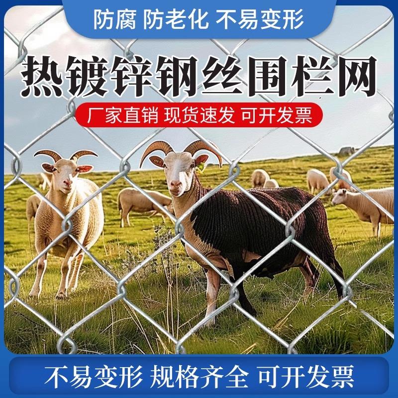 镀锌铁丝网围栏防护网勾花网钢丝网养殖羊牛猪栏网果园栅栏护栏网