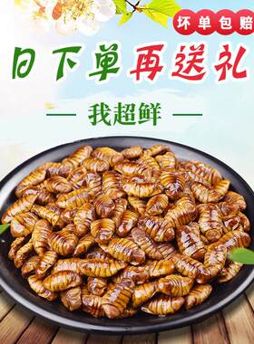 当季新鲜速冻桑蚕蛹 小茧蛹 扁蚕蛹 生蚕蛹 黄金蛹小黄蛹湿蚕蛹干
