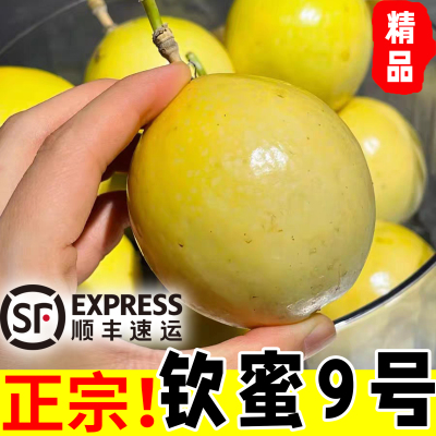 顺丰包邮福建龙岩武平象洞钦蜜9号黄金百香果5斤包邮大果新鲜