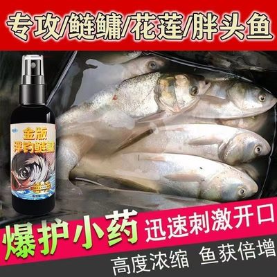 鲢鳙小药开口剂新型浮钓鱼大头鱼花白鲢鱼饵料专用诱鱼剂野钓链镛