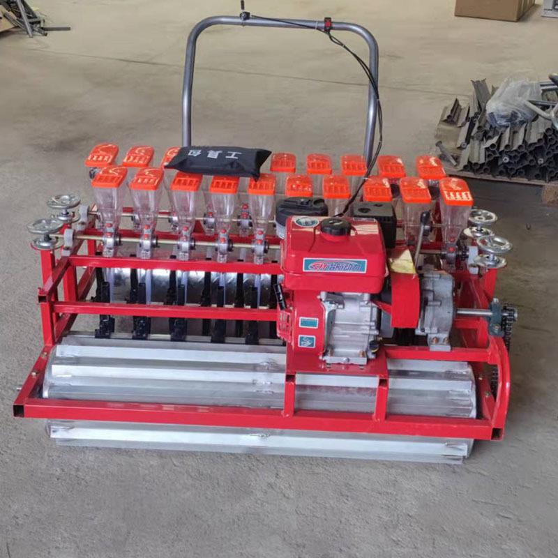 大葱洋育苗播种机菜葱yl-bzj茼精蒿点菠播机芹菜香菜播机