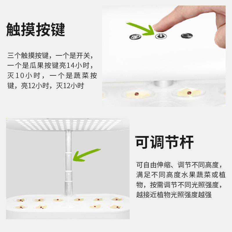 智能无土栽蔬果培机菜瓜植物生长灯水培种植机bft-003全灯光厂家