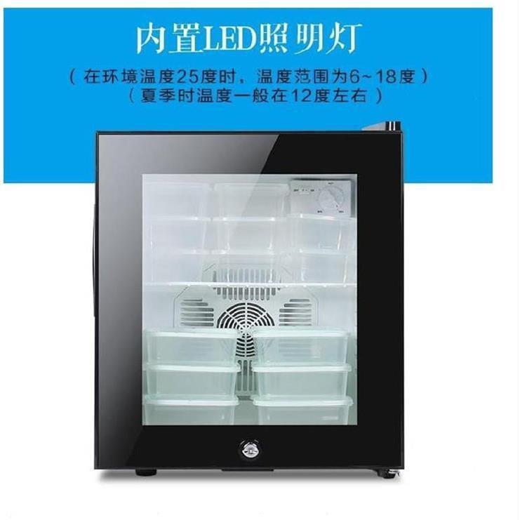 双锁餐饮小型放饮料冷柜商用饮料家用小冰箱公寓30升蛋糕留样柜