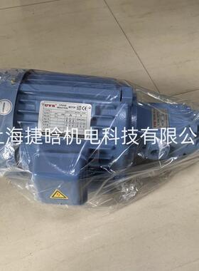 UVSSMOTORPUMP电机泵组UV-2P-216V-750-ILL-7-011润滑泵马达