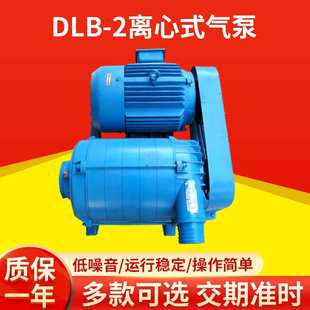 无锡中策DLB 高压环形真空气泵增压泵 2离心式 气泵工业级旋涡式