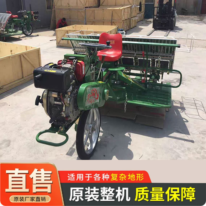 农用机械6-8行水稻插秧机平原山地通用插苗机大型栽秧设备批量发