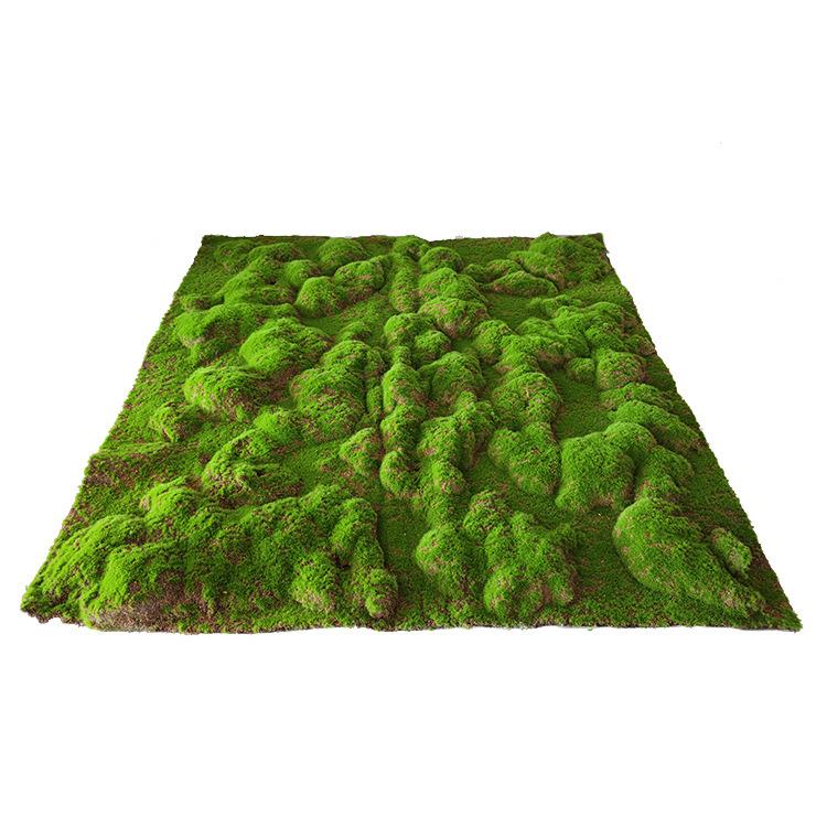 仿草真苔藓皮大鼓青苔草景皮微景观植物墙盆MC-DGB01景包造相框橱