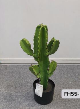 天PU量尺仙人掌多叉仙人掌带仿真热漠绿植盆RQC栽沙橱窗装饰假仙