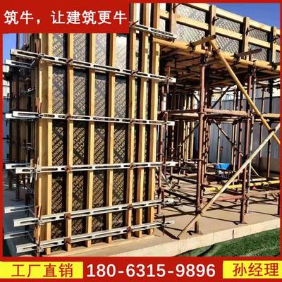 铝模塑料模模固具挡土支模加固板用钢背楞体系剪墙力墙支钢背楞撑