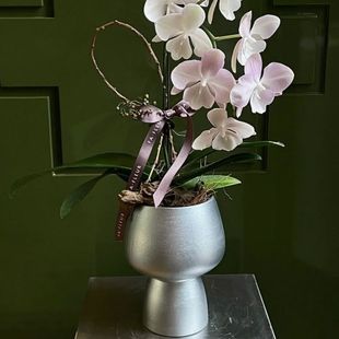 花盆高脚北欧极简风桌面家居陶瓷蝴蝶兰高档轻奢高级感花器