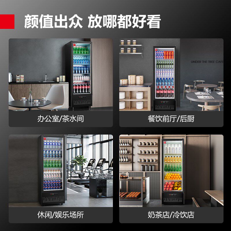 德玛仕饮料展示柜便k利店办公室冰箱商用立式单门冷藏柜LG-300ZH1