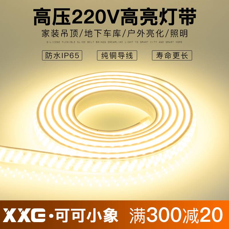 灯带led灯带客厅家用超亮光带七彩变色灯条户外防水180珠线灯220v