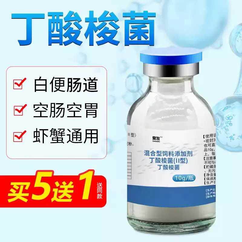 丁酸梭菌水产养殖菌种培养基虾蟹塘对虾调节肠道白便空肠胃乳酸菌