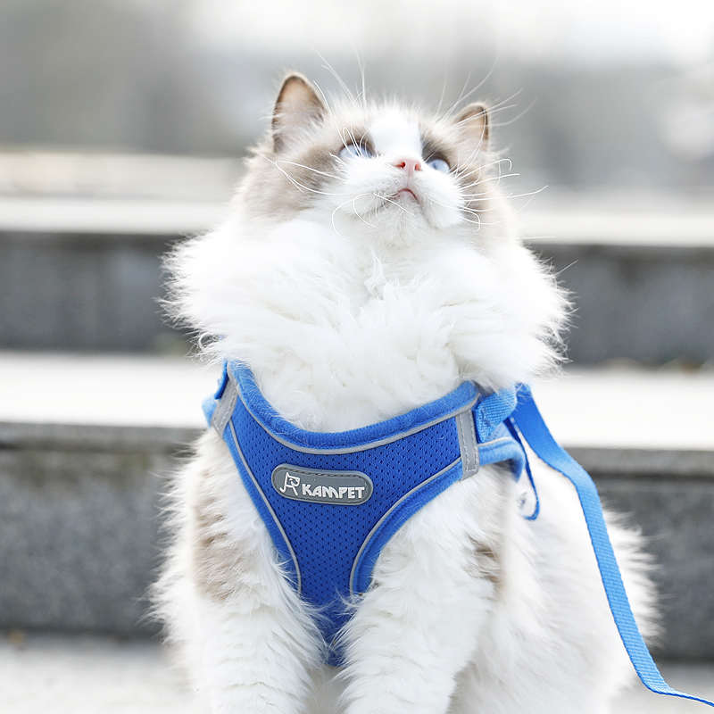 宠物猫咪牵引绳背心式胸背带外出猫咪狗狗防挣脱溜猫绳子栓猫链