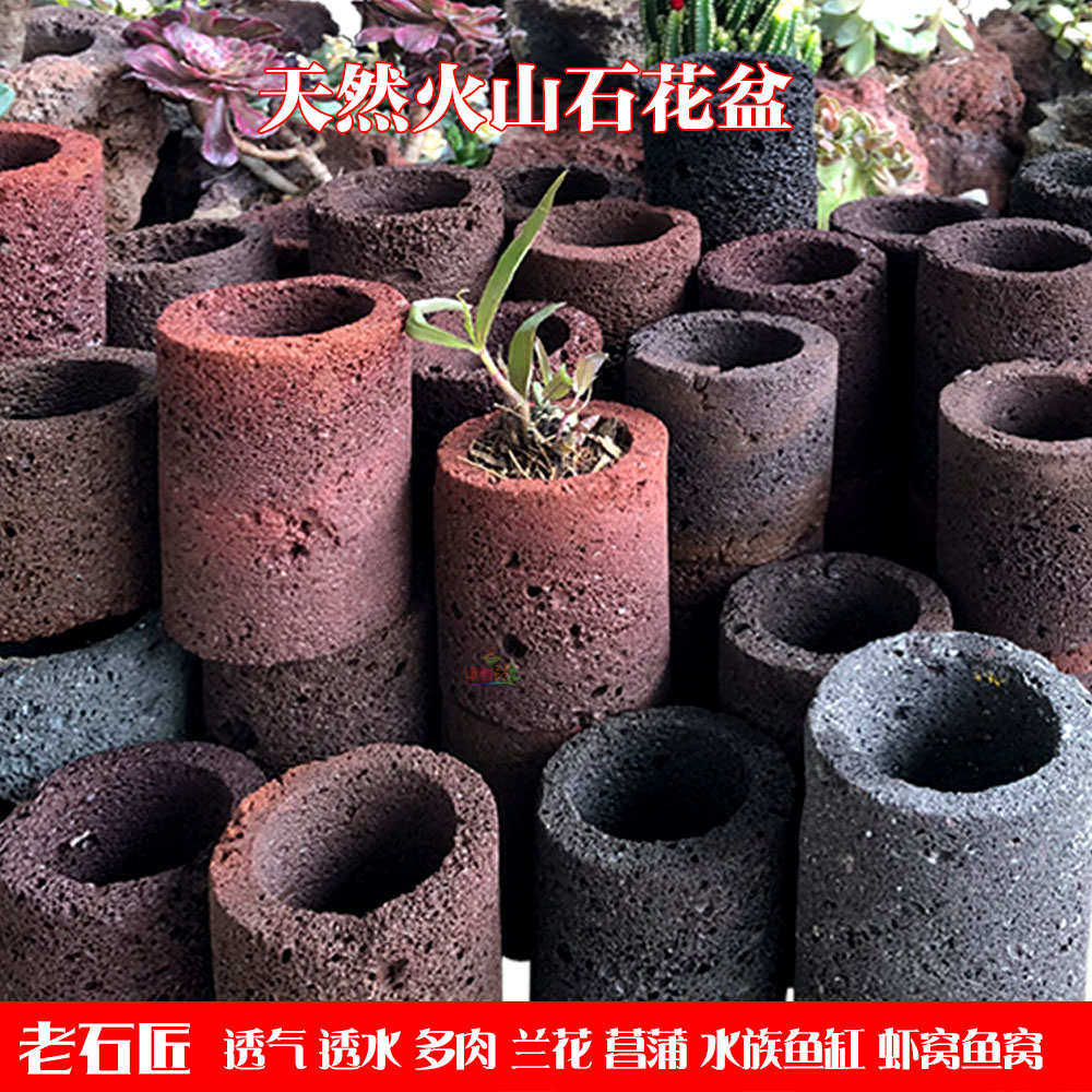 火山石头花盆菖蒲水草多透气盆栽肉窝水族肉鱼植物肉窝鱼新疆包邮,鲜花速递/花卉仿真/绿植园艺,花盆,淘宝优惠券,粉丝福利购,淘宝优惠卷