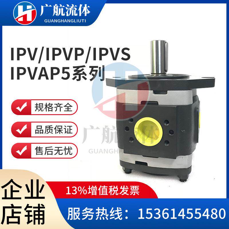 VOITH福伊特IPV5-40 IPVP5-40 IPVAP5-40 IPC5-40 101 171 601