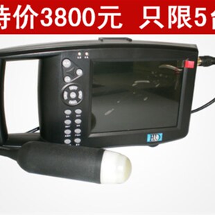 猪用B超 猪用怀孕检测仪