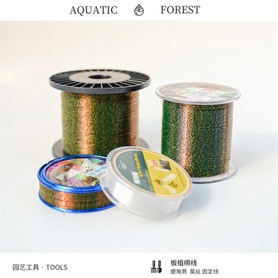 速发鹿 蕨固定线上板材料o 绑莫丝 M 角蕨类沉木 尼龙线