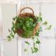 壁挂花篮装 藤编花盆草编花盆 饰挂花盆墙壁挂竹编藤编悬挂壁挂式