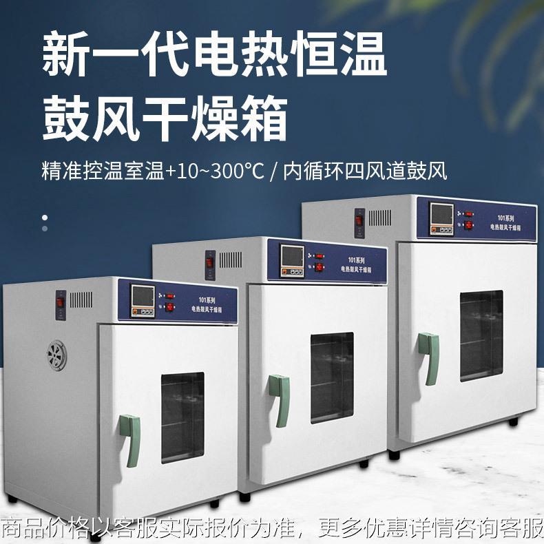 电热恒温鼓风干燥箱烘箱实验室大学干燥箱老化高温测试工业烤箱