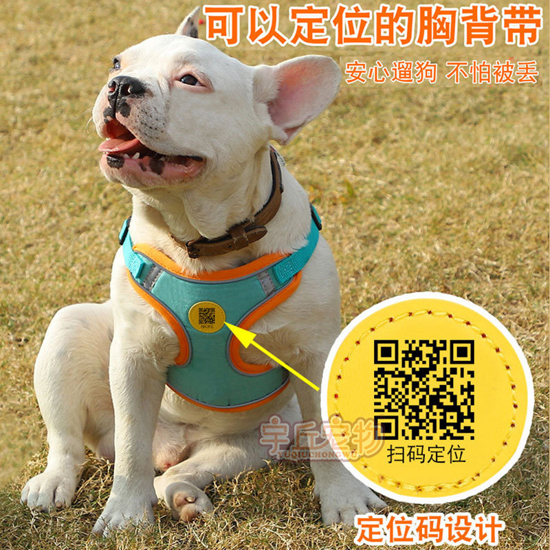 速发马犬项圈胸背带幼犬背心式夜光遛绳子可调节小马犬