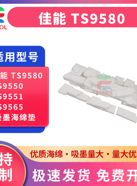 适用 Canon佳能 TS9580 TS9550 TS9551 TS9565 打印机废墨盒 废墨仓 吸墨海绵垫 废墨收集器 墨水回收 废墨垫