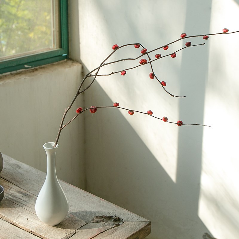 速发蔷薇果干枝插花艺术干花花束客厅摆装高级摆真花室内设饰感件