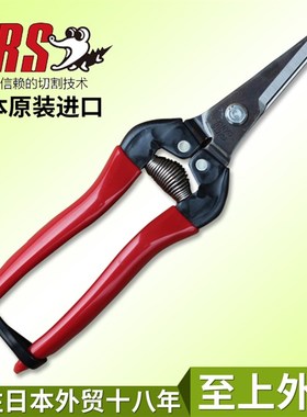 速发 丽斯S爱00L盆景园艺工具采果剪稀果剪长嘴摘果剪芽剪