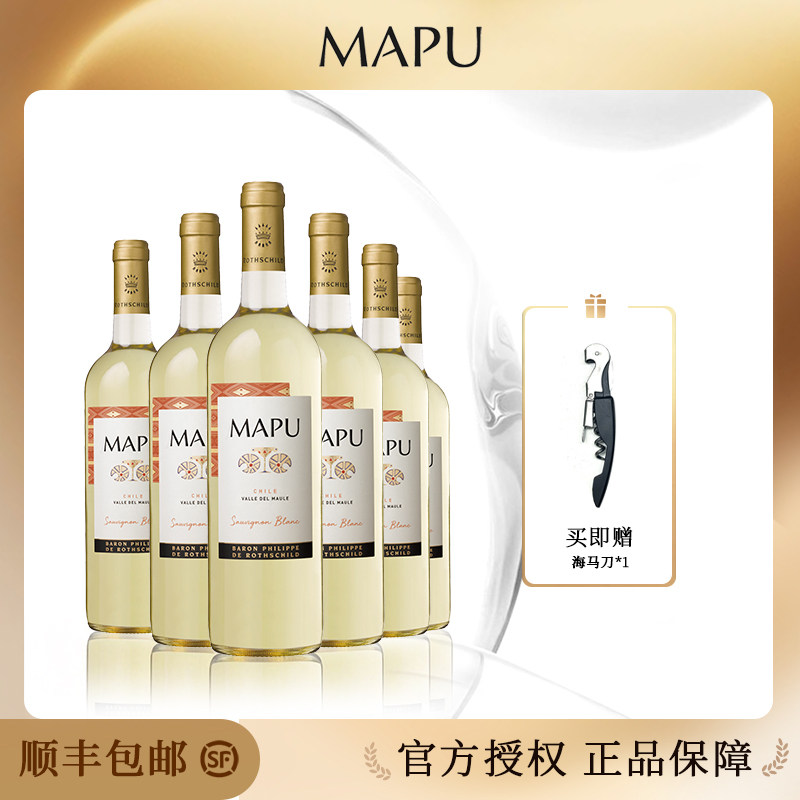 轩尼诗红酒智利原瓶大地长相思干白葡萄酒6支装整箱 顺丰包邮