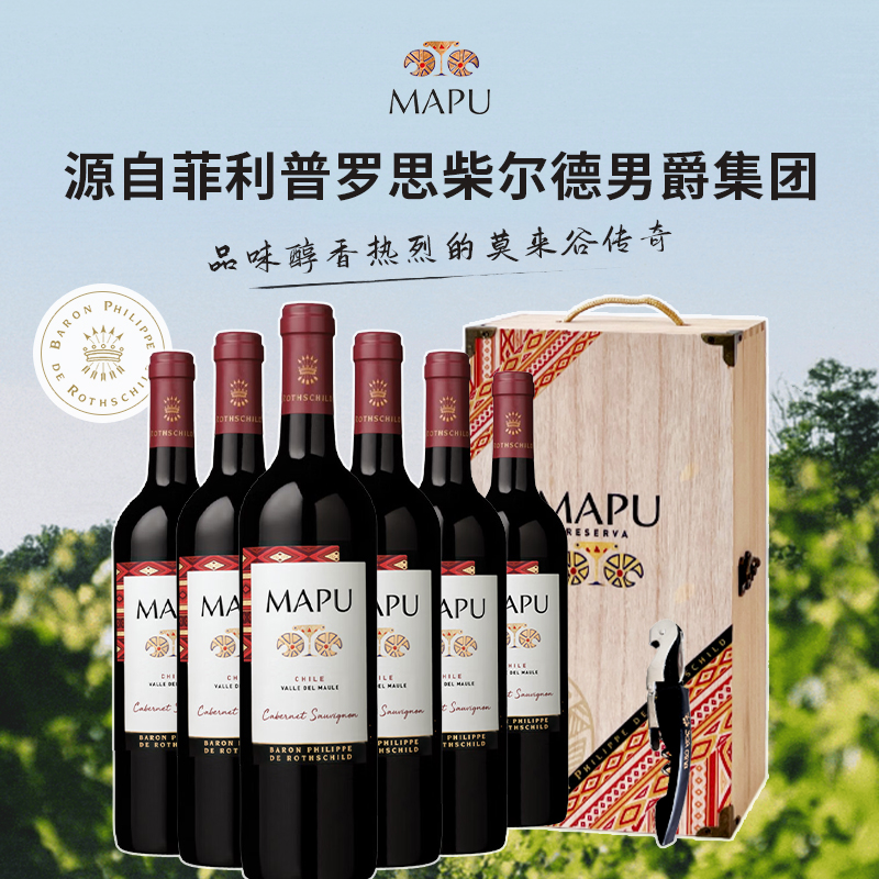 轩尼诗红酒智利原瓶大地赤霞珠干红葡萄酒6支装红酒整箱 顺丰包邮