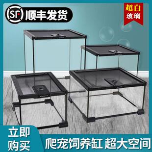 爬宠玻璃缸睫角守宫饲养箱鬃狮蜥蜴蛇角蛙树蛙蜘蛛爬虫生态雨林缸